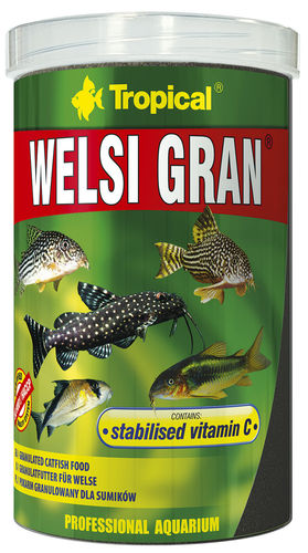 Tropical Welsi Gran 100ml für L-Welse