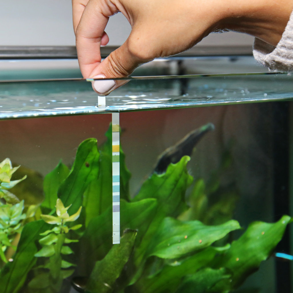 50 STÜCKE Wasserteststreifen 7 in 1 Teststreifen PH-Wert Aquarium Wasser 